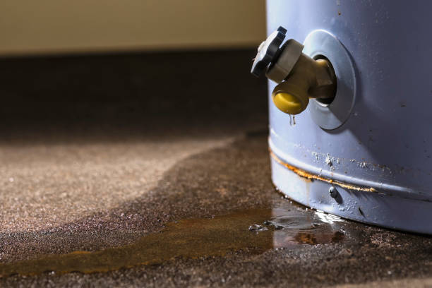 Best Mold removal after water damage  in Vadnais Heights, MN