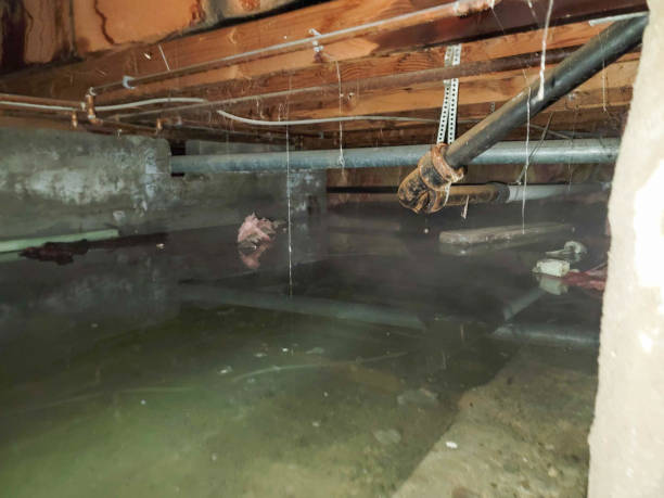 Local water damage restoration in Vadnais Heights, MN