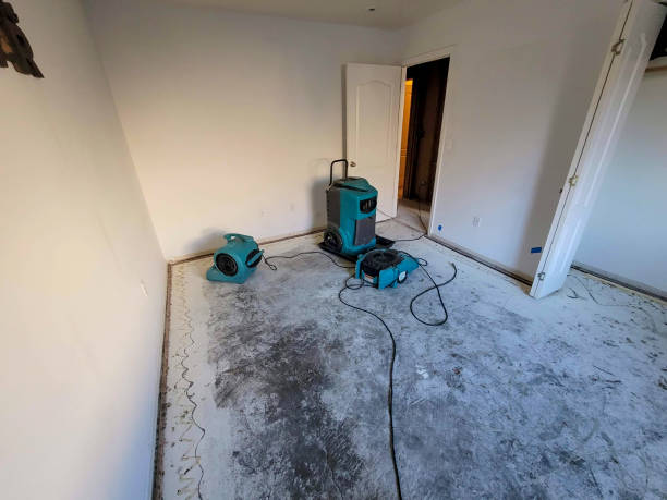 Best Residential water damage restoration  in Vadnais Heights, MN