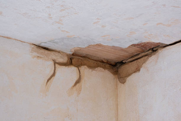 Best Flood damage cleanup  in Vadnais Heights, MN