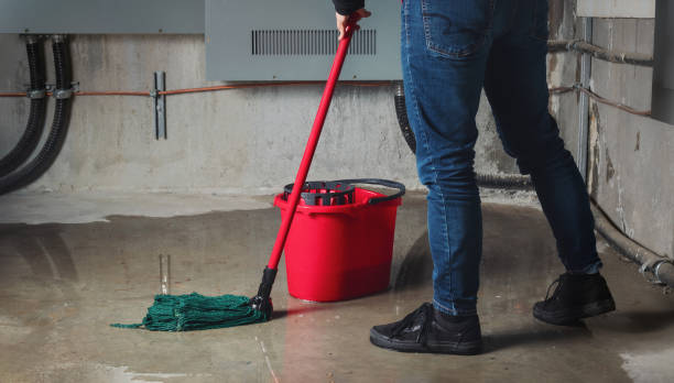 Best Basement water damage restoration  in Vadnais Heights, MN