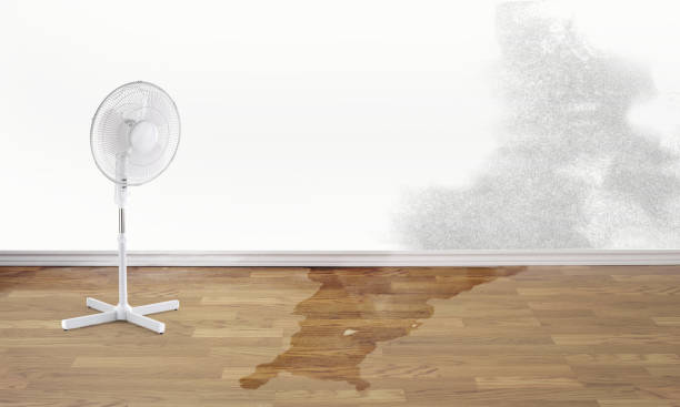 Best Water damage restoration near me  in Vadnais Heights, MN