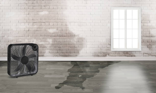 Best Emergency water damage restoration  in Vadnais Heights, MN
