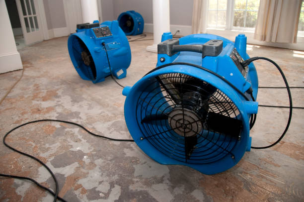Best Fire Damage Restoration  in Vadnais Heights, MN