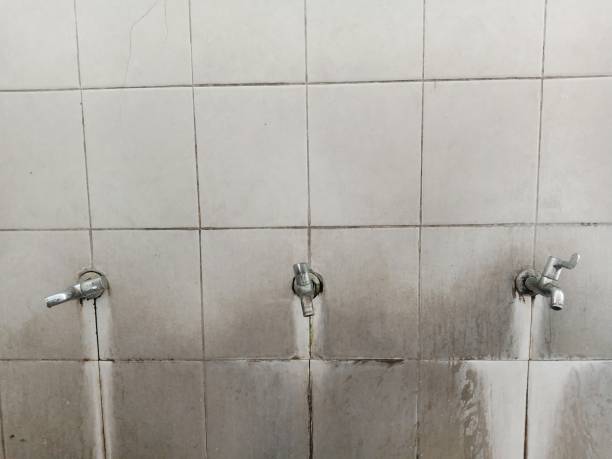 Best Flooded house restoration  in Vadnais Heights, MN