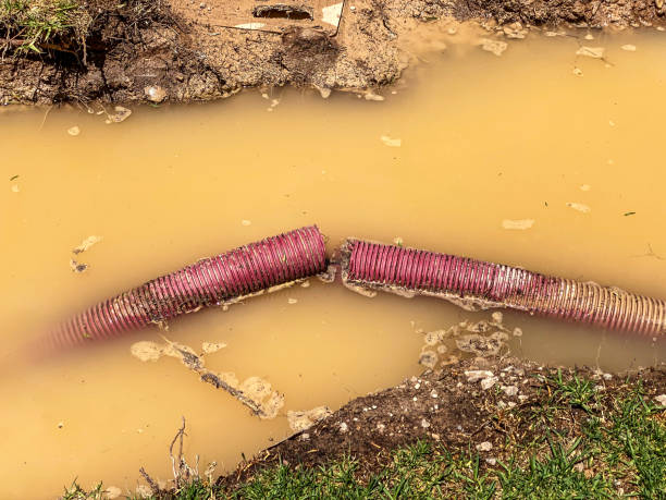 Reliable Vadnais Heights, MN Water damage restoration Solutions