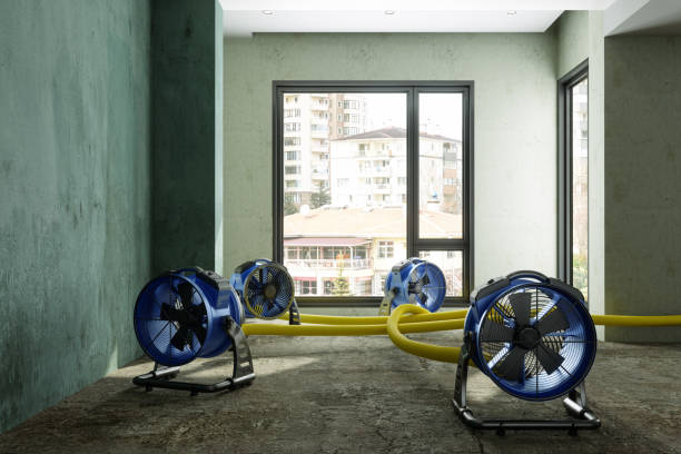 Best Flood restoration services  in Vadnais Heights, MN