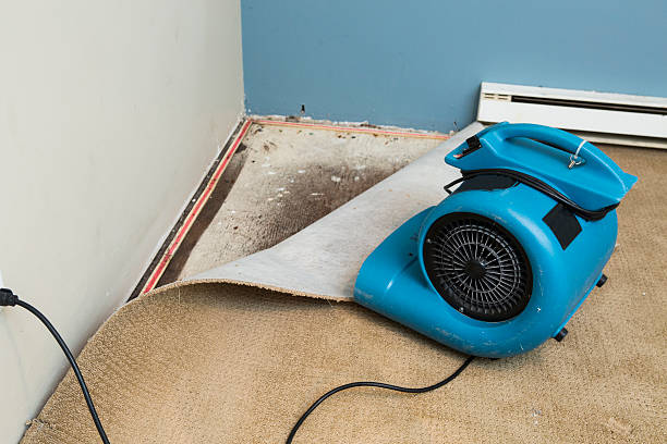 Best Sewage cleanup and water damage restoration  in Vadnais Heights, MN